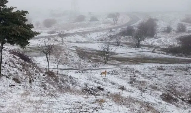 Kırkağaç'ın yüksek kesimleri beyaza büründü