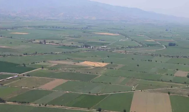 Aydın'da en fazla yağış Nazilli'ye düştü