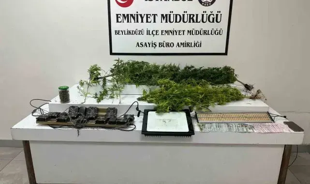 Beylikdüzü'nde uyuşturucu serasına çevrilen eve baskın: 1 gözaltı