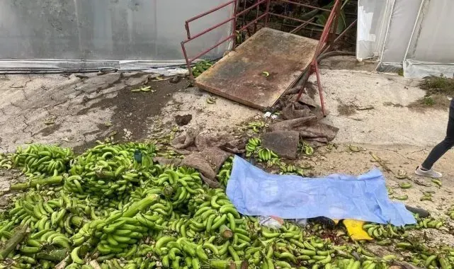 Alanya'da seradaki iş kazasıyla ilgili 2 kişi tutuklandı