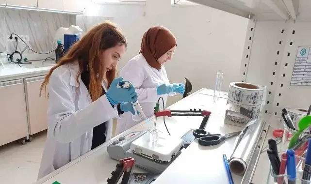 Bitlis Eren Üniversitesi'nden bal analizi alanında uluslararası başarı