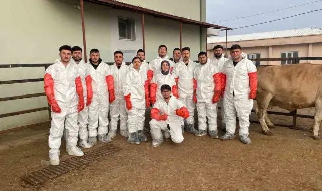 Iğdır'da veteriner sağlık teknisyenlerine suni tohumlama kursu düzenlendi