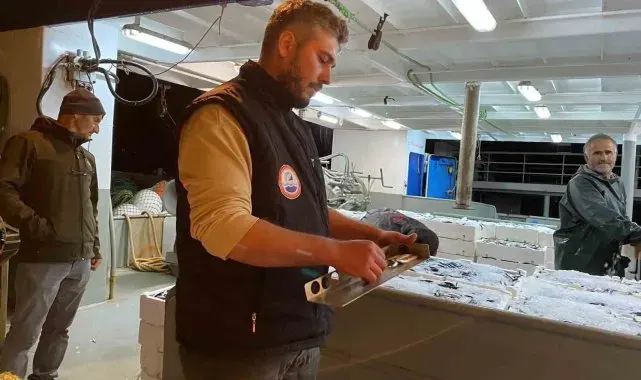 Sinop'ta balık boyu denetimleri: 5 ton balığa el konuldu