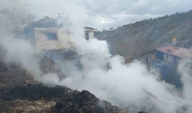 Alevlere teslim olan ev, ahır ve samanlık küle döndü