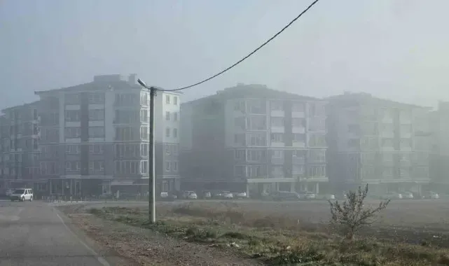 Bandırma'da kara ve deniz taşımacılığında sis engeli