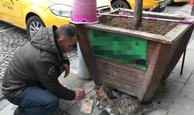 Bayburtlu taksici siftahı kedileri besleyerek yapıyor