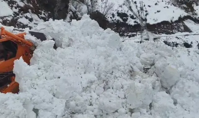 Artvin'de Macahel yolunda çığ meydana geldi, bölgedeki 6 köyle ulaşım kesildi