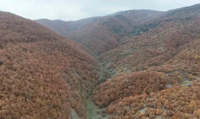 Bilecik'te sonbahar manzaralarını görenler hayran kalıyor