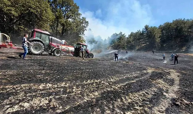 Bolu'da bahçede başlayan yangın ormanlık alana sıçradı