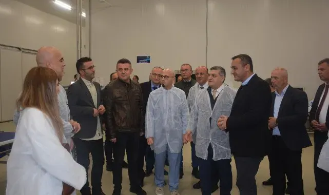 Sinop'ta Temel Sektörlerin Rekabetçiliğinin Artırılması Projesi
