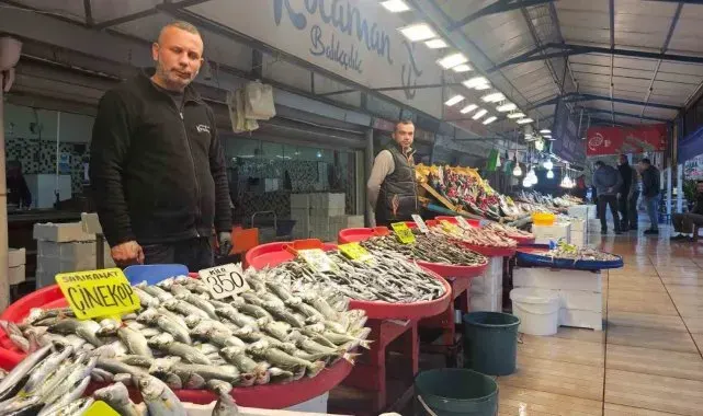 Balık tezgahlarında palamut yerini hamsi, istavrit ve çinekopa bırakıyor
