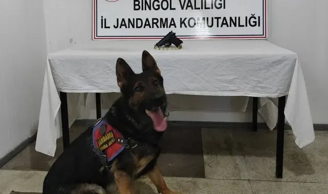 Bingöl'de araması bulunan 3 kişi yakalandı