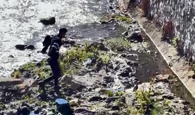 Bitlis'te dereye düşen kekliği vatandaşlar kurtardı