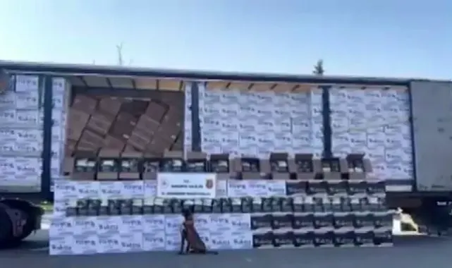 Değeri 15 milyon: Adana'dan, Sakarya'ya getirilirken yakalandı