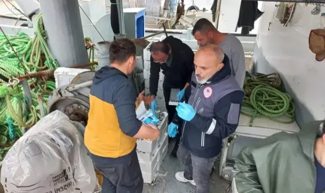 Türkeli'de su ürünleri denetimi