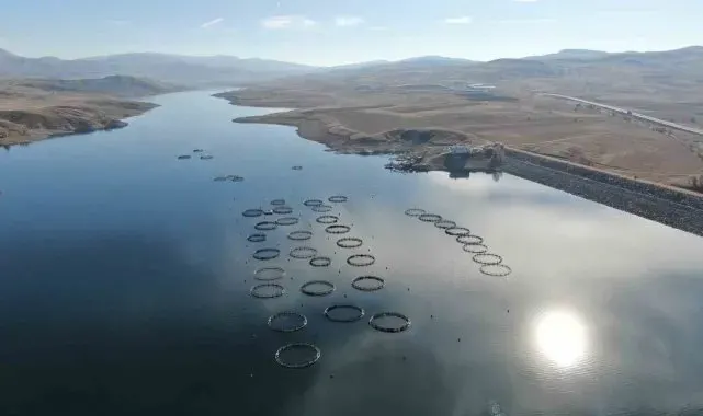 Dünyaya pazarlanan somonlar, denize kıyısı olmayan Sivas'ta olgunlaşıyor