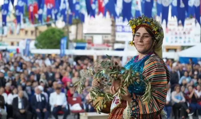 Milas'ta zeytin hasat şenliği için geri sayım başladı