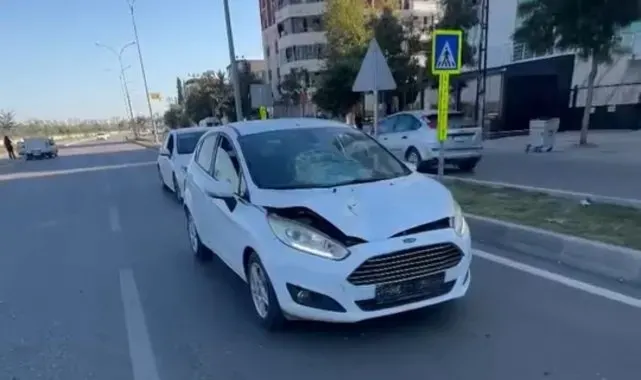 Yaya yolunda kadını öldüren yaşlı sürücüye 6 yıla kadar hapis istendi
