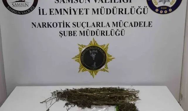 Çarşamba'da uyuşturucu operasyonu