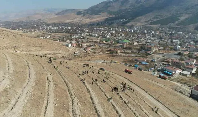 Yahyalı'da binlerce fidan toprakla buluştu