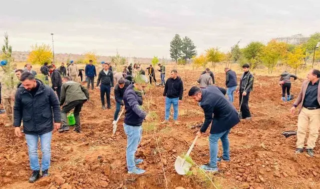 Geleceğe kök salacak fidanlar toprakla buluşturuldu