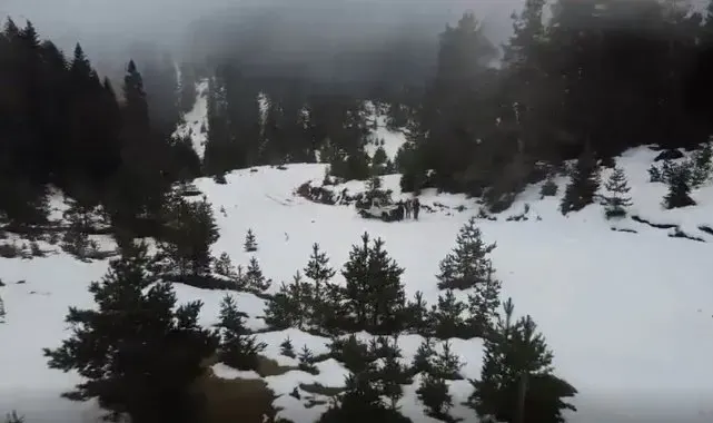 Sinop'un zirvesinden kartpostallık görüntüler