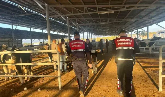 Hayvan pazarında 'dolandırıcılık' kontrolü
