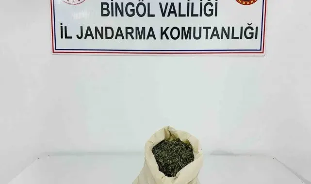 Bingöl'de aranan 2 şahıs yakalandı