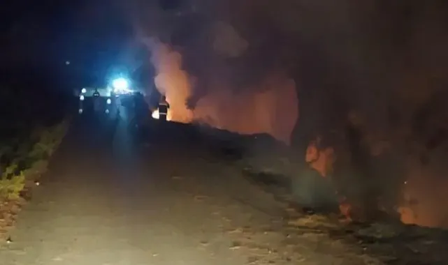 Dörtol'da orman yangını