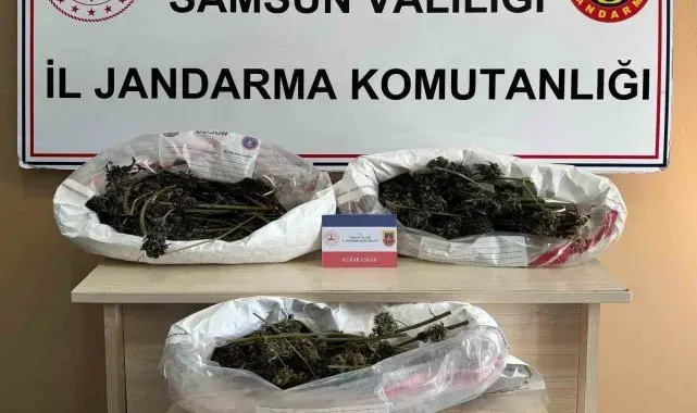 Jandarma 627 gram kubar esrar ele geçirdi