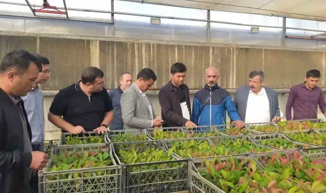 Özbek öğrencilere Ödemiş'te meyve fidancılığı eğitimi