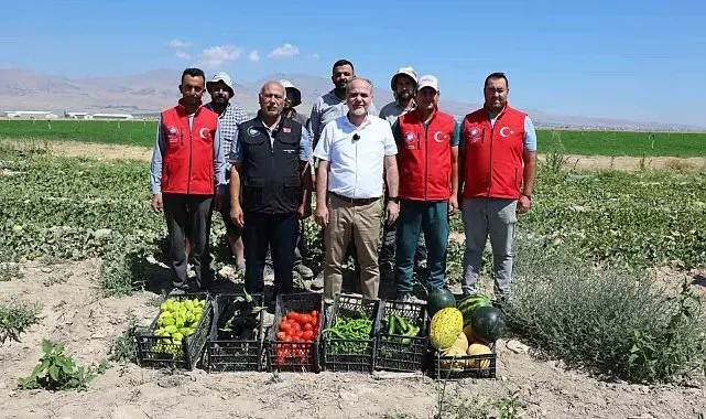 NÖHÜ'de 51 bin fideyle üretilen ürünlerin hasadı yapıldı