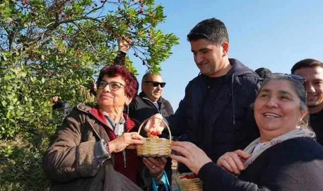 Doğaseverler 438 metre yüksekliğindeki Kayışdağı Ormanı'nda dağ çileği topladı