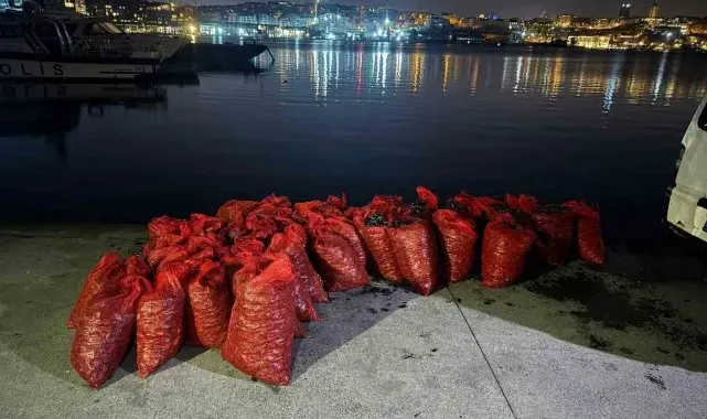 Üsküdar'da 2 ton kaçak midye ele geçirildi