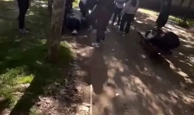 Eyüpsultan'da kız öğrenciler arasında kavga: Darp edilen arkadaşları bayıldı