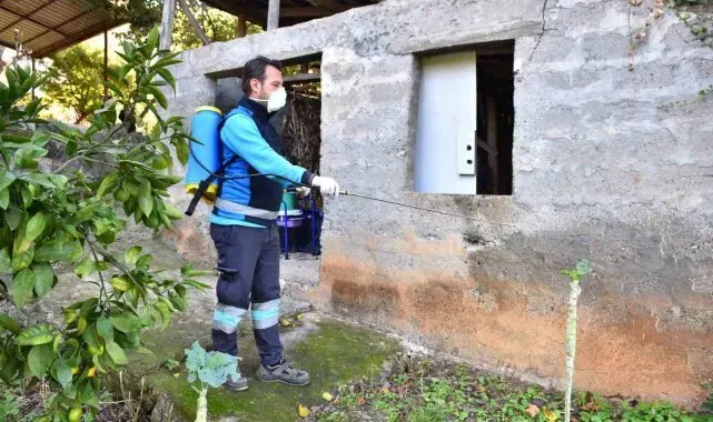 Trabzon'da kokarcaya geçit yok: "2 bin 60 noktada, 108 bin 800 metrekare alanda ilaçlama"