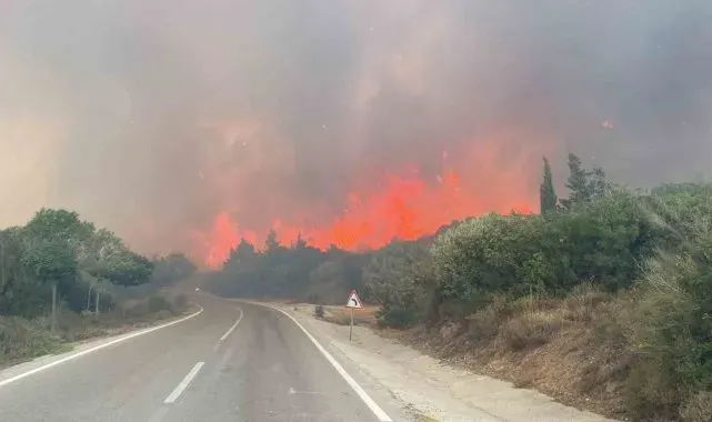 Çanakkale'de ormanlara giriş yasağı 30 Kasım'a kadar uzatıldı