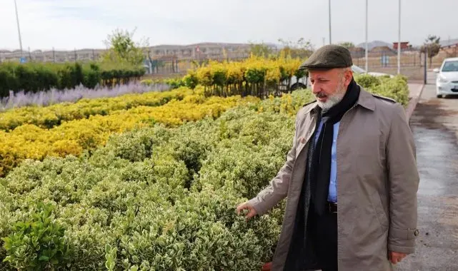 Başkan Çolakbayrakdar: "Kocasinan'da her mevsim başka güzel"