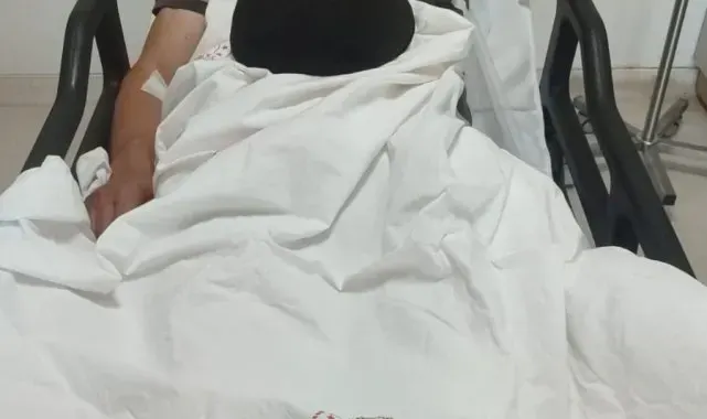 Bilecik'te domuzları avlayan 1 avcı yaralandı