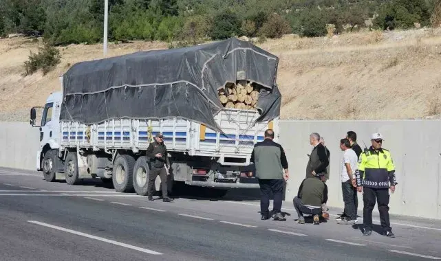 Denizli'de orman suçlarına karşı denetimler sıkılaştırıldı