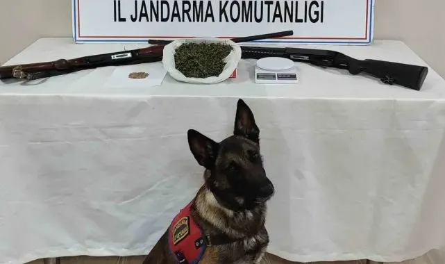 Konya'da jandarma ekiplerinden uyuşturucu operasyonu