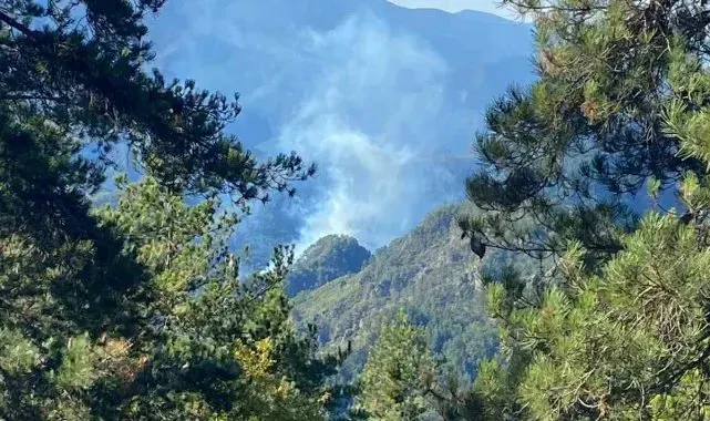 Hatay'da orman yangını