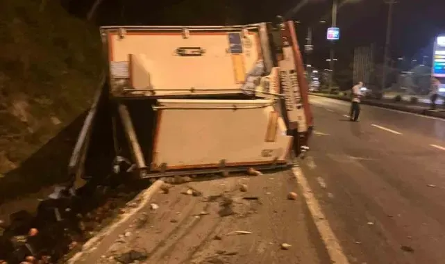 Park halindeyken freni boşalan tır şarampole devrildi