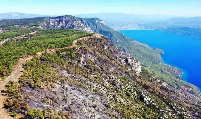 Gökova'da alevlerin önünü kesmek için 6,5 kilometre yangın şeridi açıldı