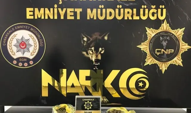 Çanakkale'de uyuşturucu operasyonu: 1 tutuklama