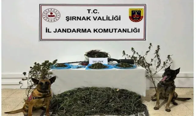Şırnak'ta Jandarma ekiplerinden kaçakçılık operasyonu: 2 tutuklama