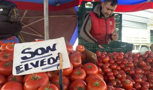 Ucuz ve lezzetli bahçe domateslerine esnaf 'Son elveda' dedi